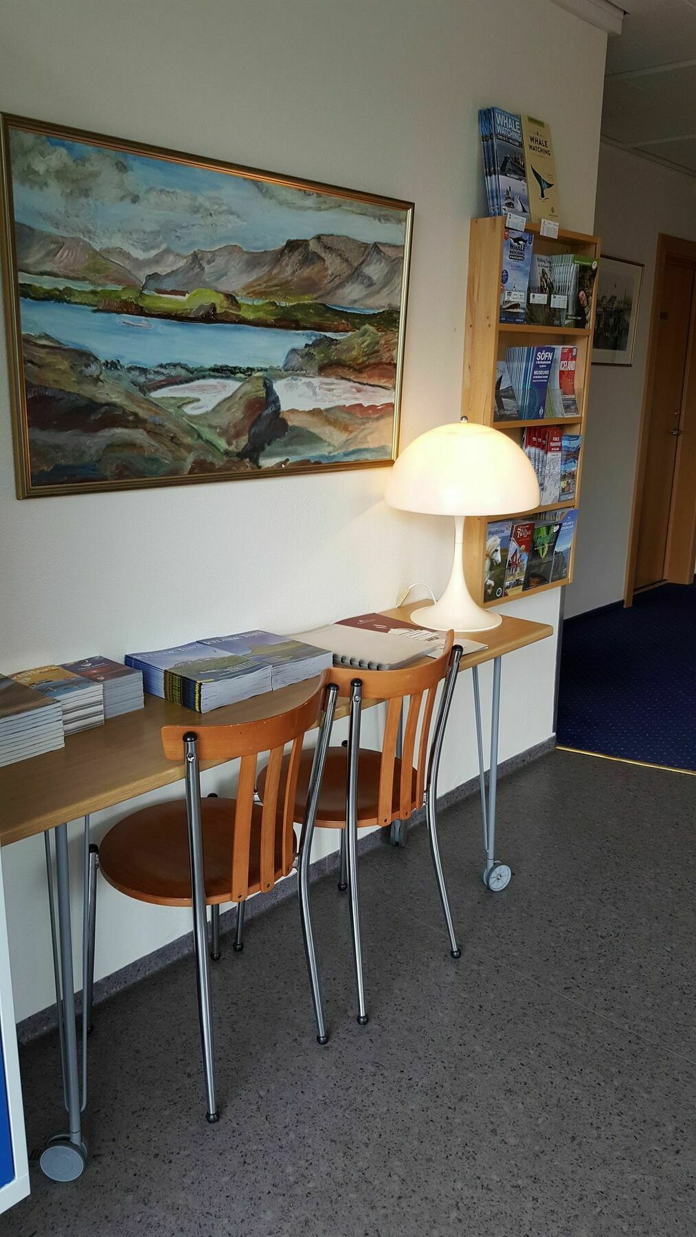 Akureyri Cottages Buitenkant foto